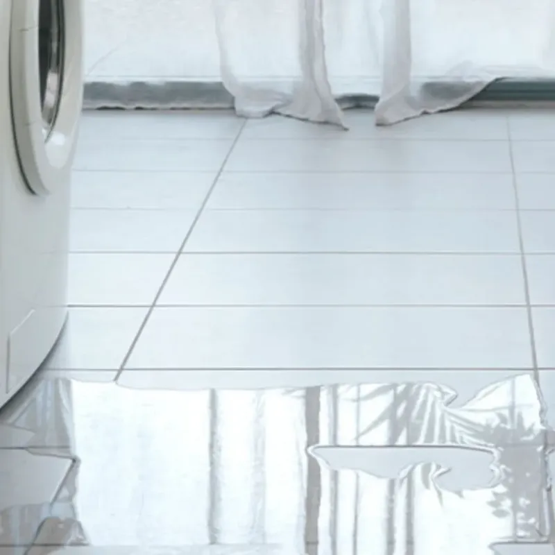 Appliance Leak Cleanup in Buda, TX