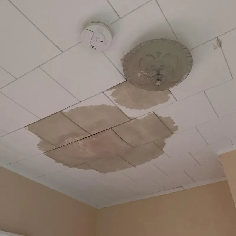 Ceiling Water Damage Repair in Buda, TX