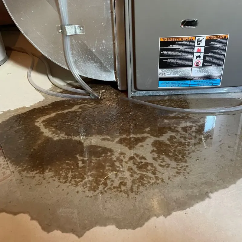 Pipe Burst and Leak Restoration in Buda, TX